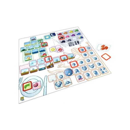 Concept Kids: Állatok