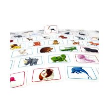 Concept Kids: Állatok