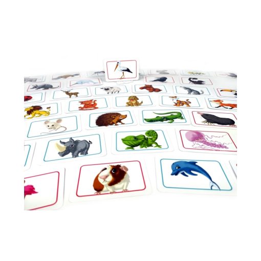 Concept Kids: Állatok